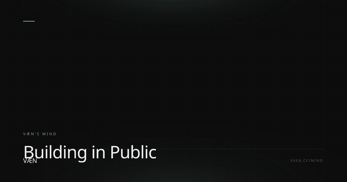 Building in Public
